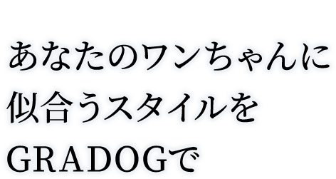 Grooming salon GRADOG（グラドッグ）